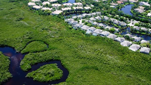 Florida development near wetlands